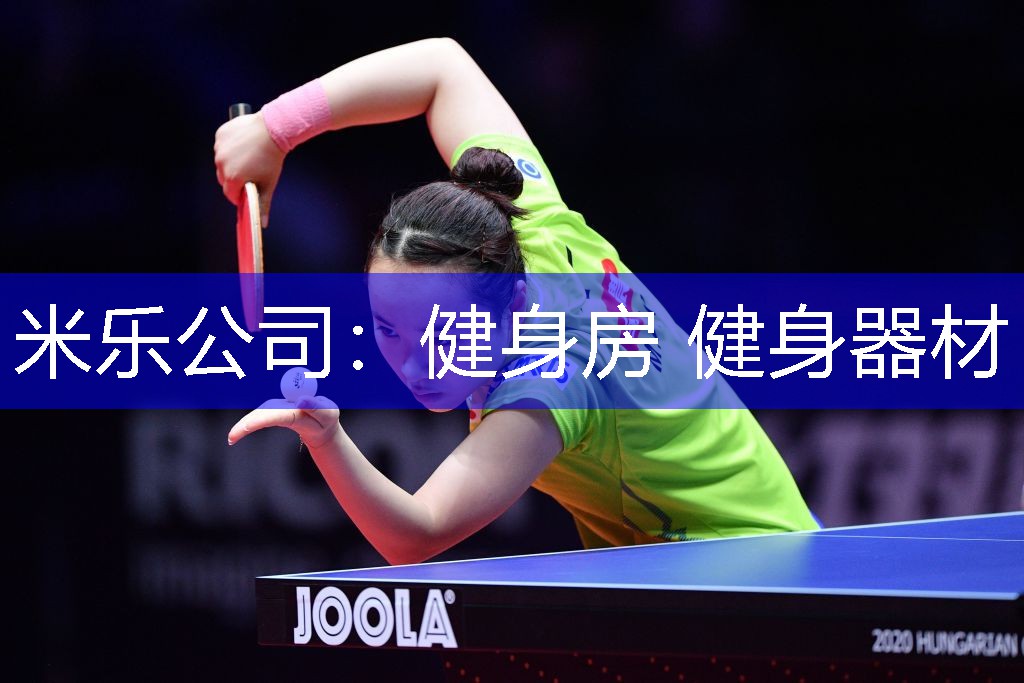 米乐公司：健身房 健身器材