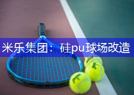 米乐集团：硅pu球场改造