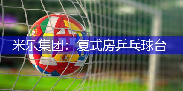 米乐集团：复式房乒乓球台