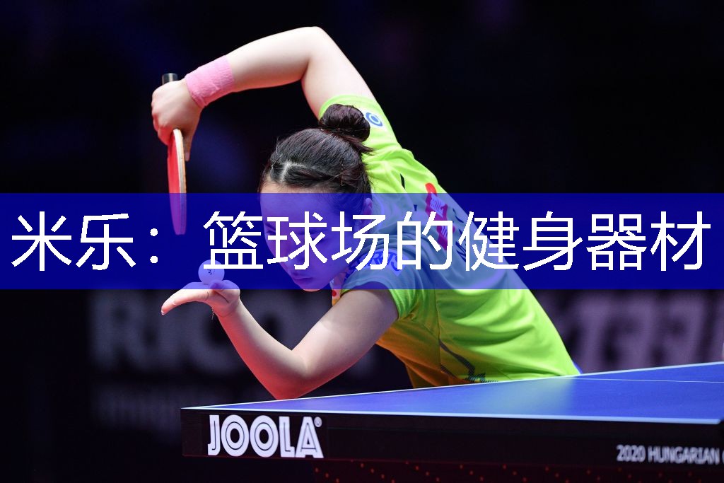 米乐：篮球场的健身器材