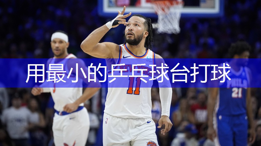 用最小的乒乓球台打球
