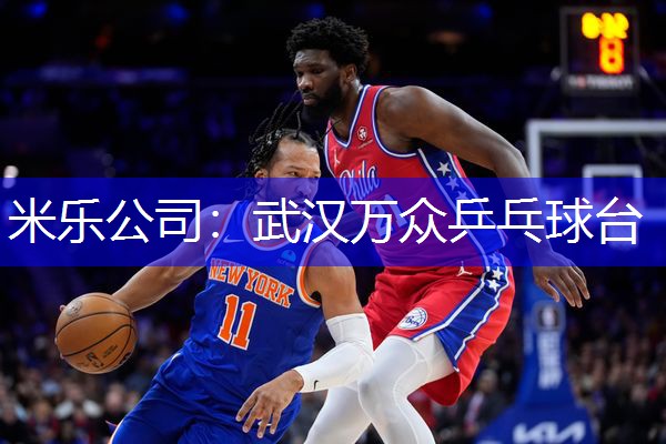 米乐公司：武汉万众乒乓球台