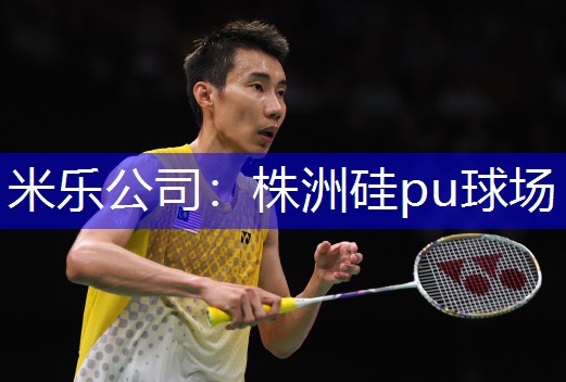 米乐公司：株洲硅pu球场