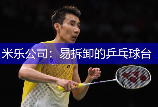 米乐公司：易拆卸的乒乓球台