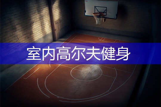 室内高尔夫健身