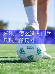 米乐：怎么选入门乒乓球台的尺寸