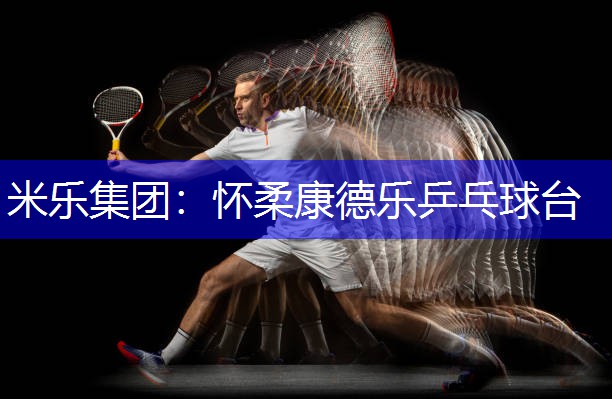 米乐集团：怀柔康德乐乒乓球台