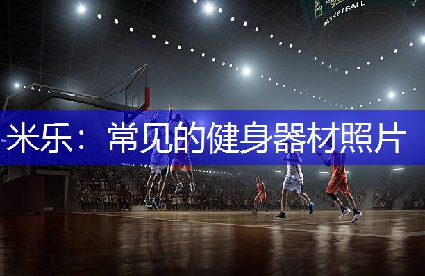 米乐：常见的健身器材照片