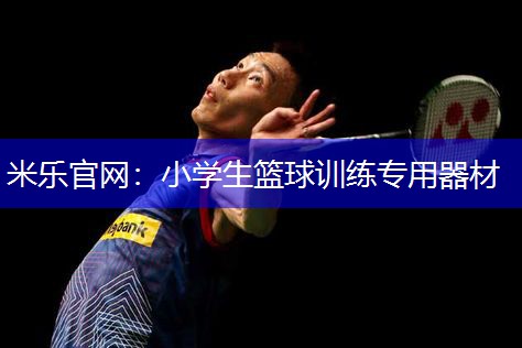 米乐官网：小学生篮球训练专用器材
