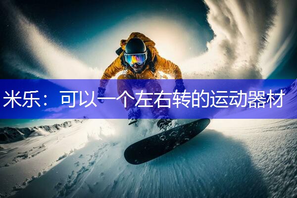 米乐：可以一个左右转的运动器材
