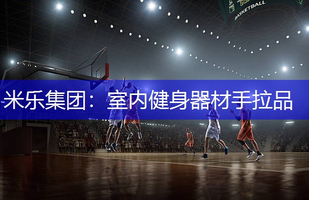 米乐集团：室内健身器材手拉品