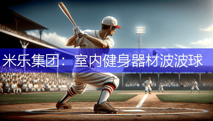 米乐集团：室内健身器材波波球