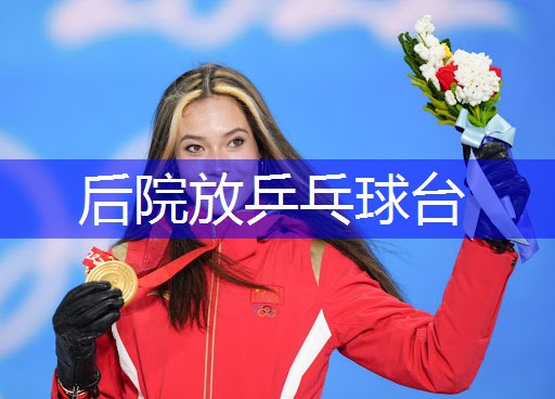 后院放乒乓球台