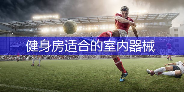 健身房适合的室内器械