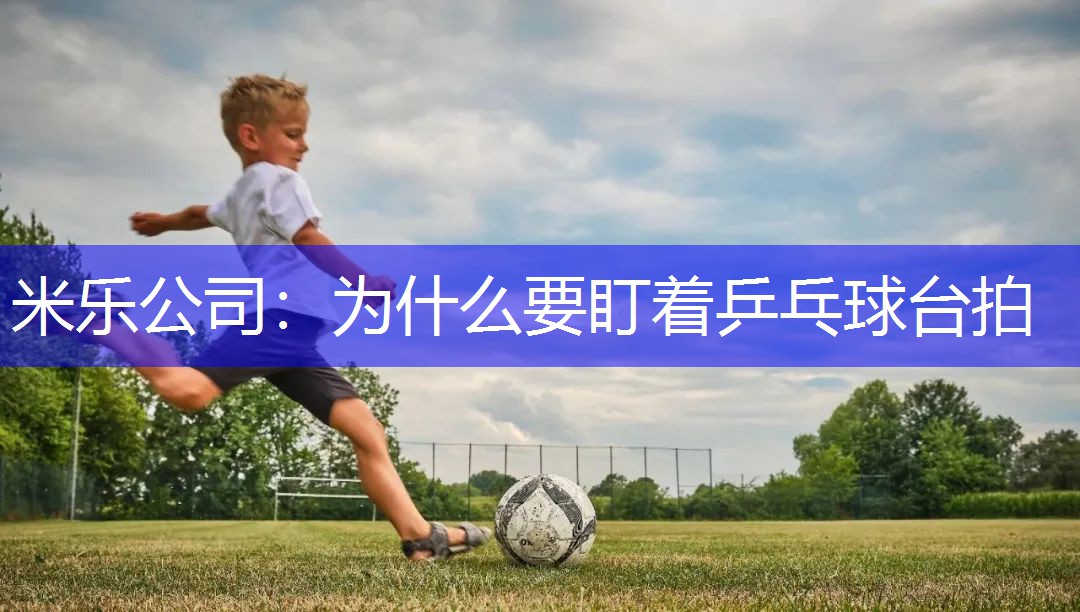 米乐公司：为什么要盯着乒乓球台拍