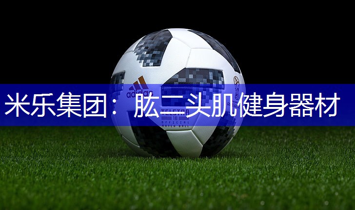 米乐集团：肱二头肌健身器材