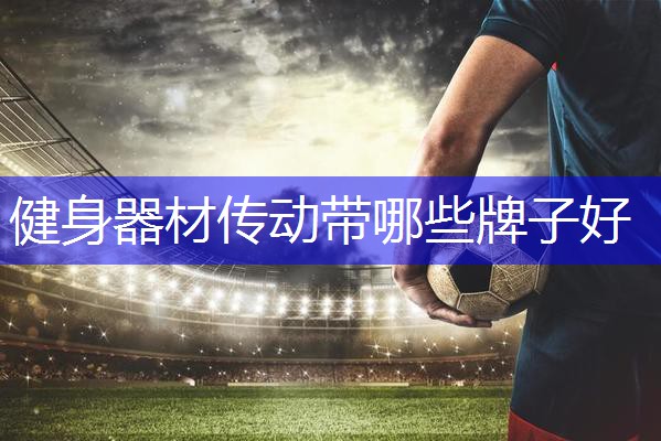 健身器材传动带哪些牌子好