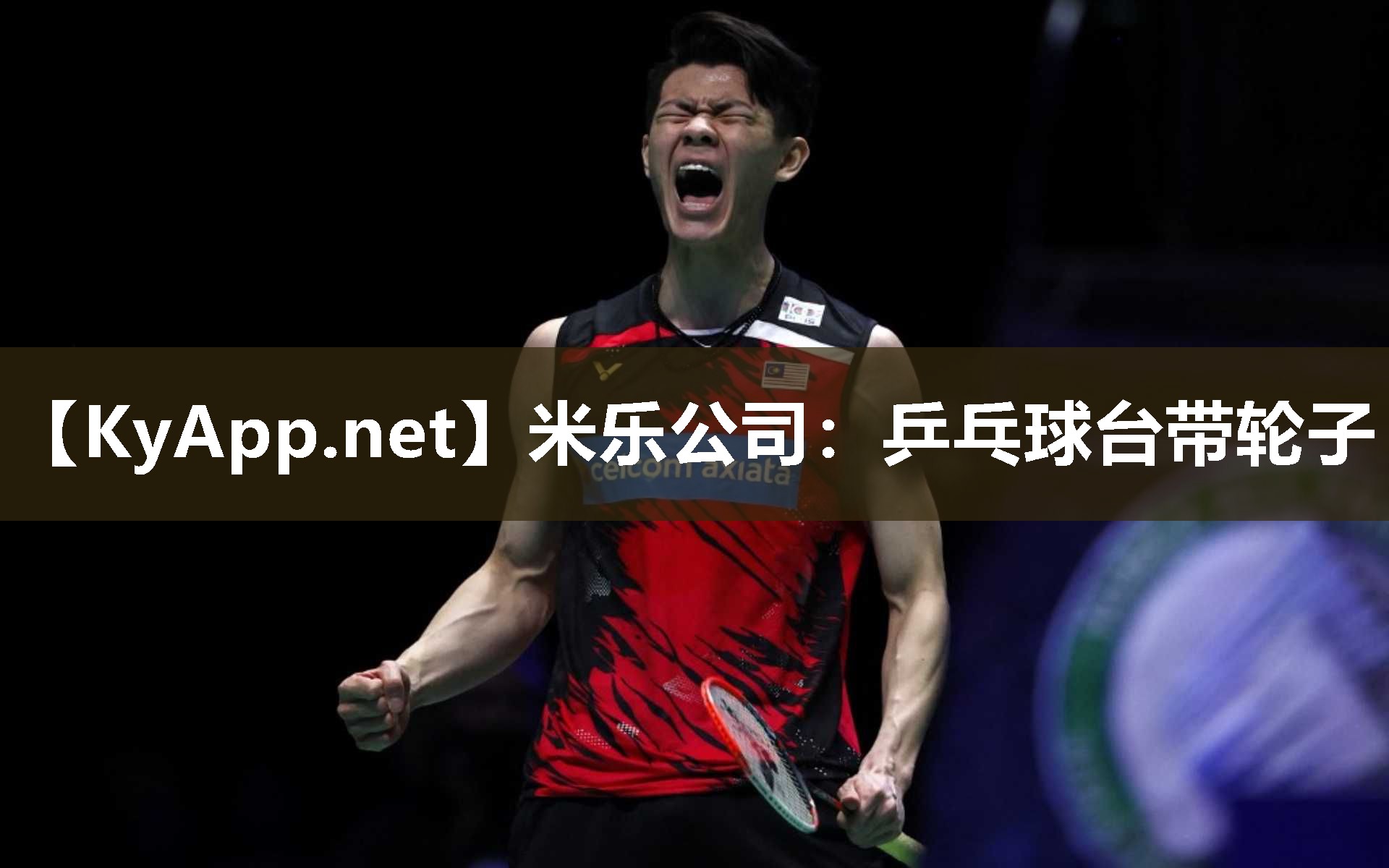 米乐公司：乒乓球台带轮子