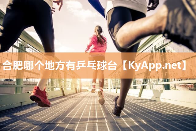 合肥哪个地方有乒乓球台