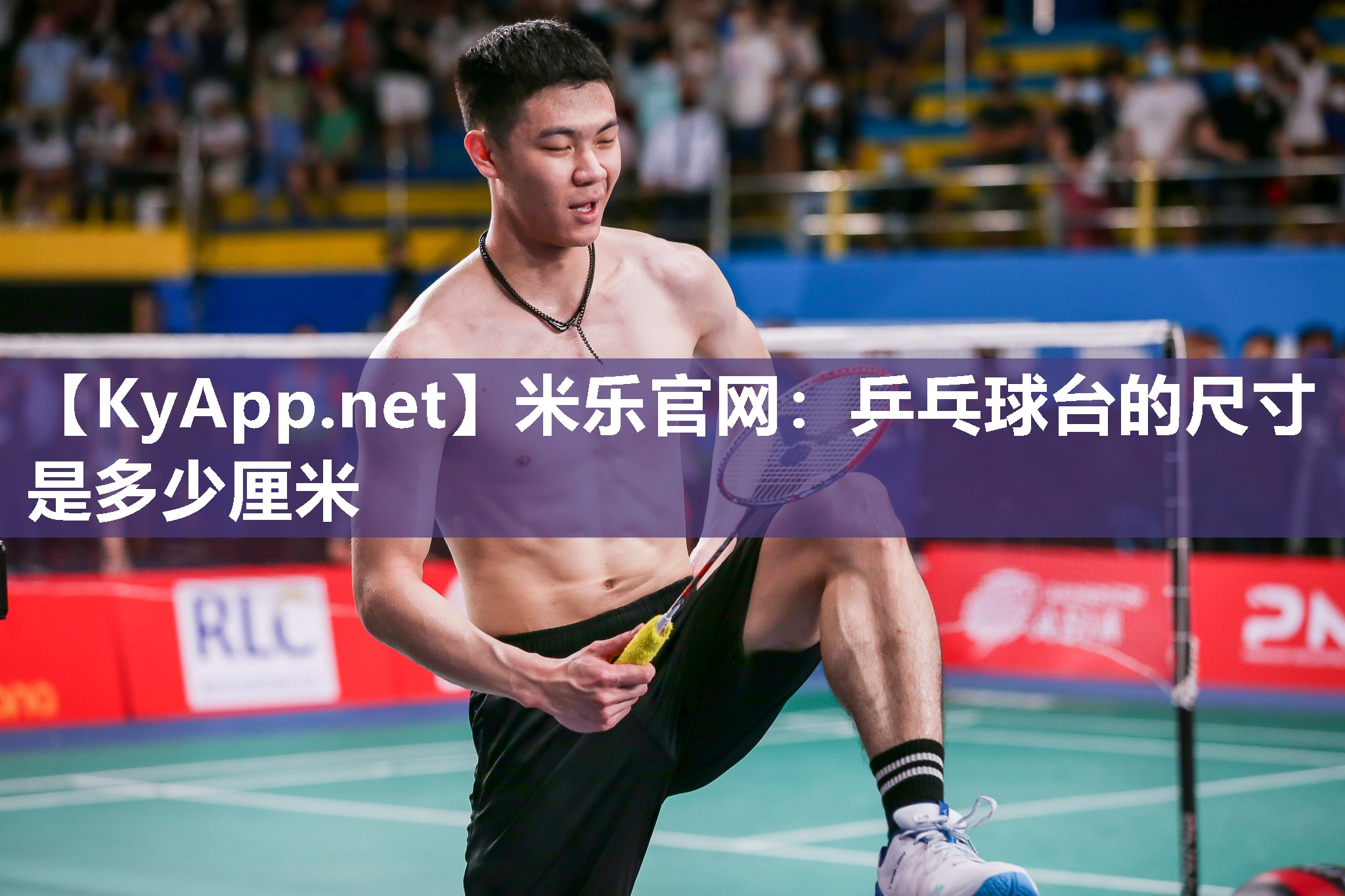 米乐官网：乒乓球台的尺寸是多少厘米