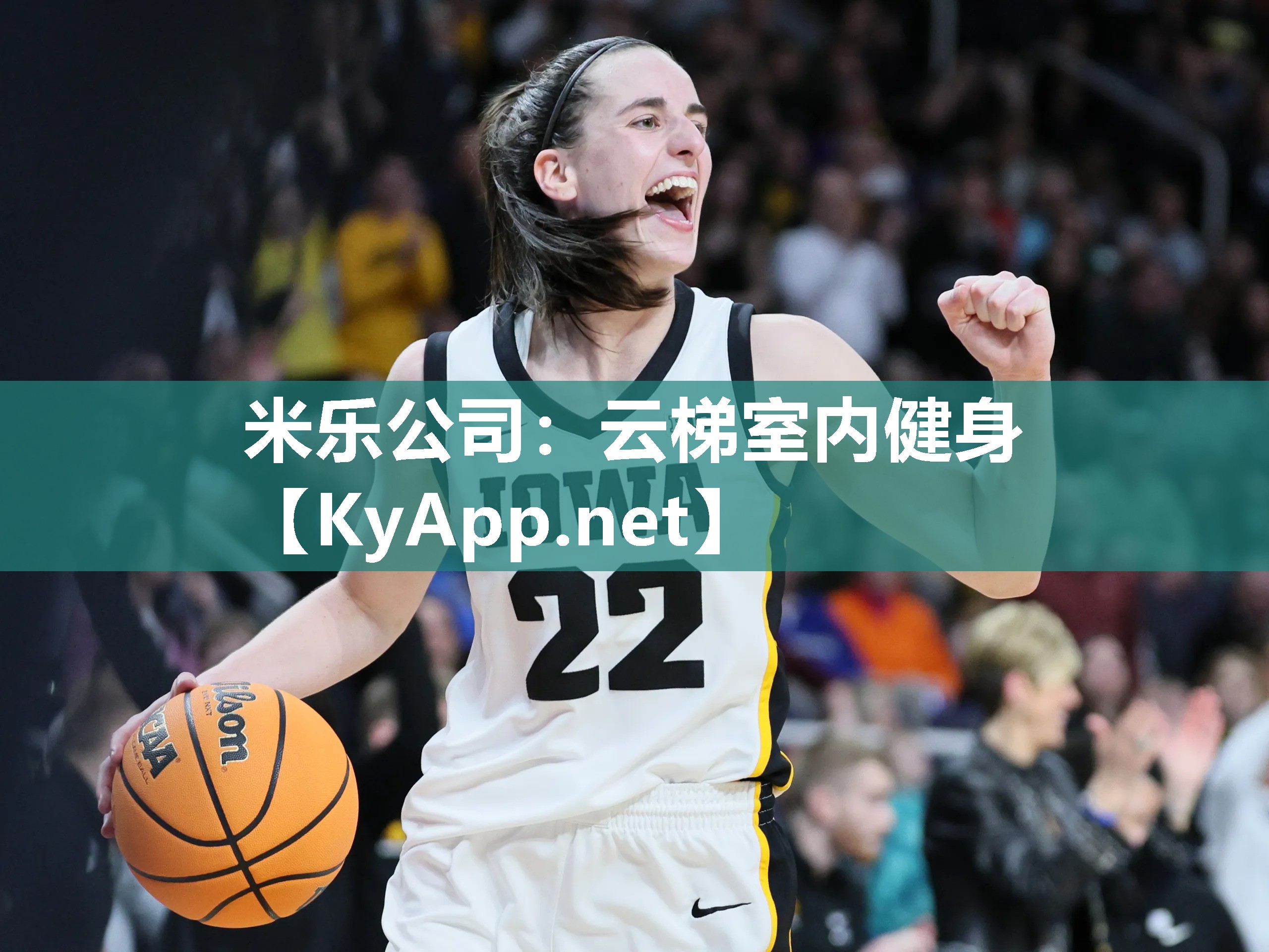 米乐公司：云梯室内健身