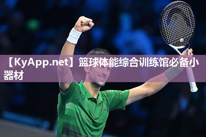 篮球体能综合训练馆必备小器材