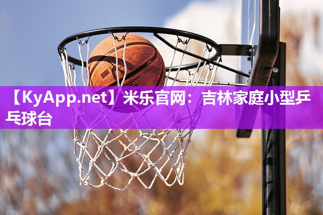 米乐官网：吉林家庭小型乒乓球台