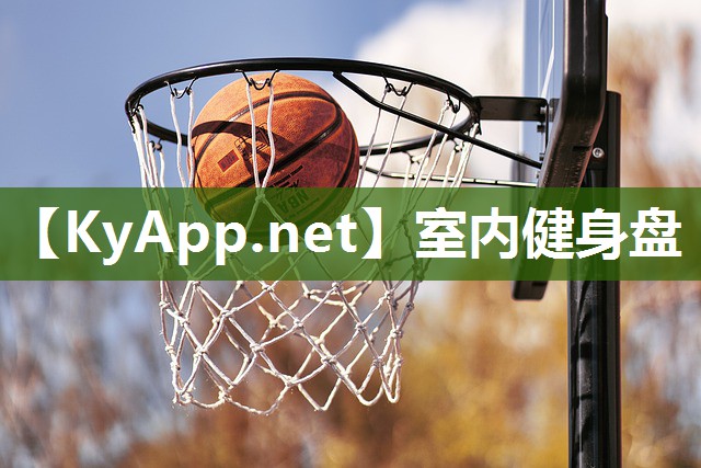 室内健身盘