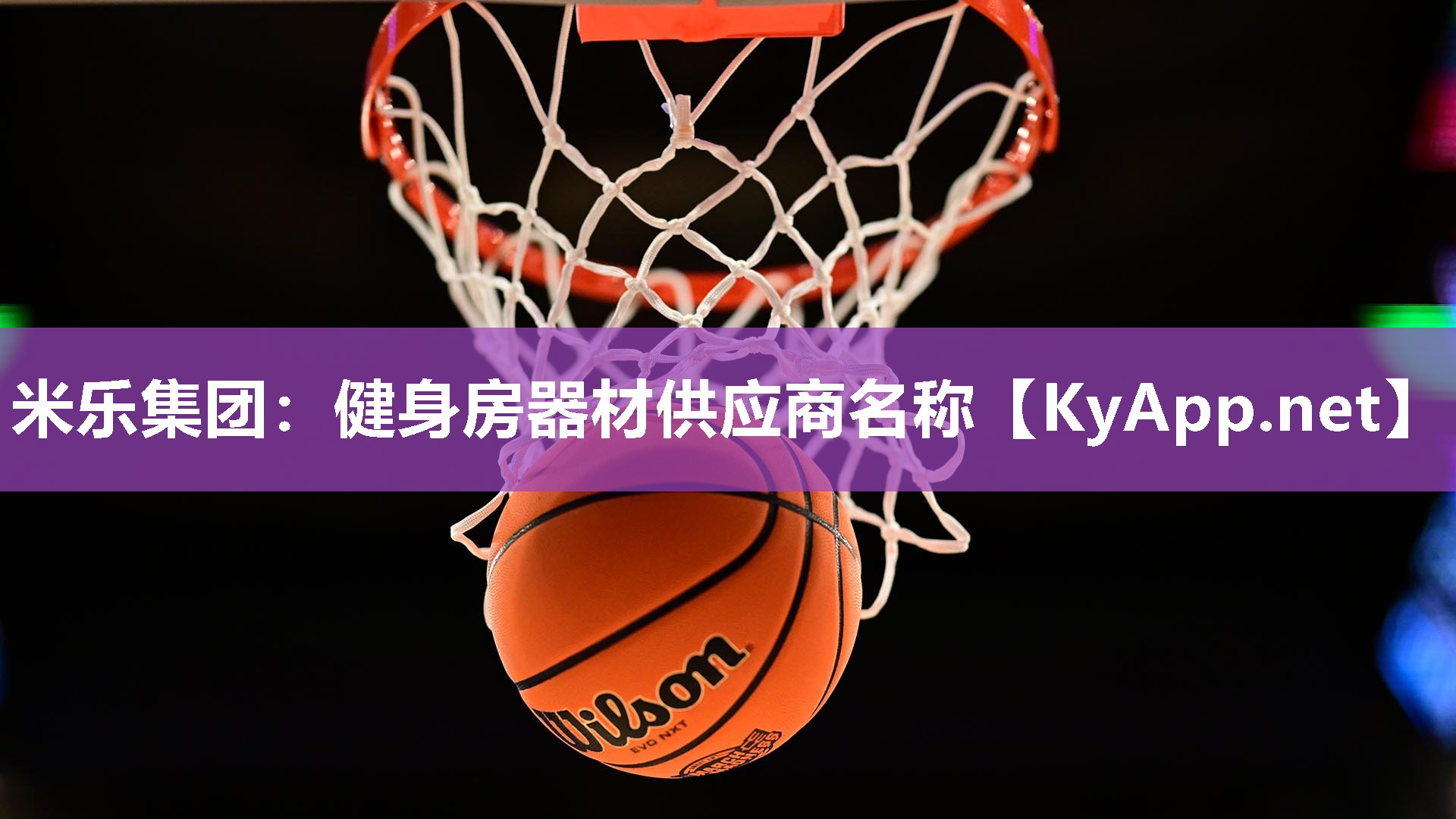 米乐集团：健身房器材供应商名称