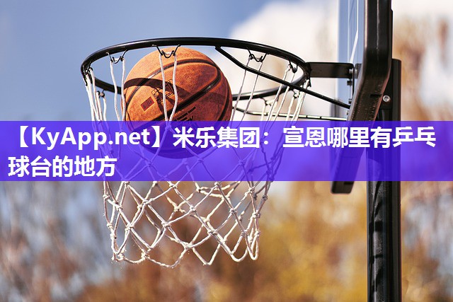米乐集团：宣恩哪里有乒乓球台的地方