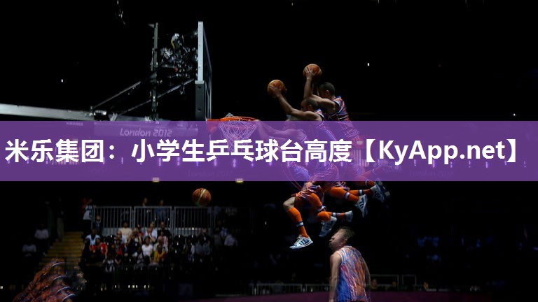 米乐集团：小学生乒乓球台高度