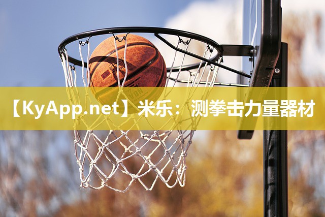 米乐：测拳击力量器材