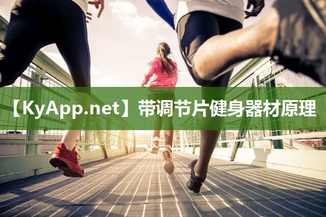 带调节片健身器材原理