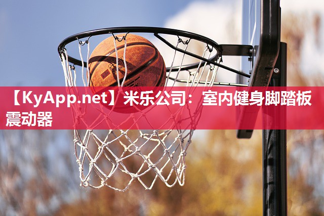 米乐公司：室内健身脚踏板震动器