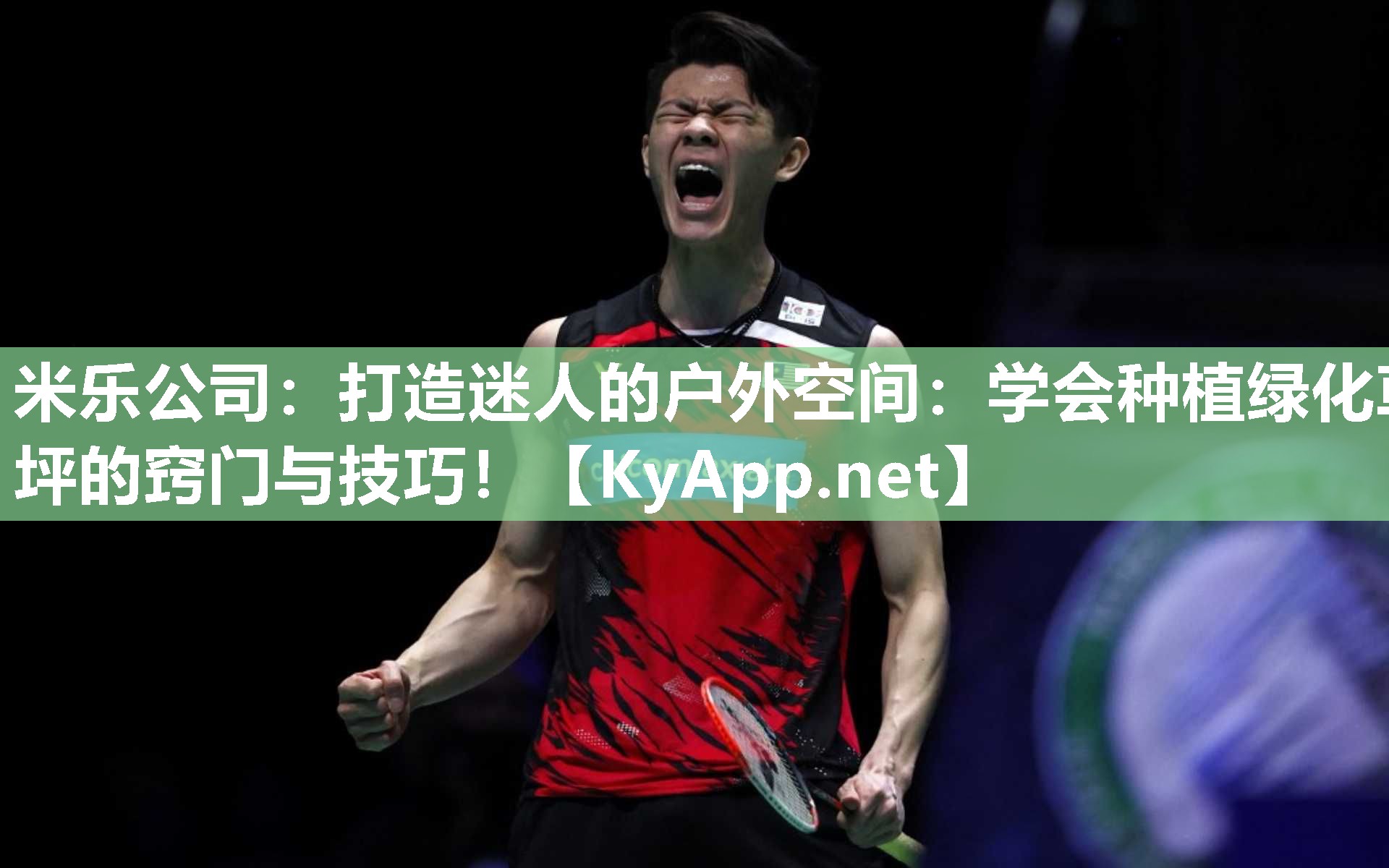 米乐公司：打造迷人的户外空间：学会种植绿化草坪的窍门与技巧！