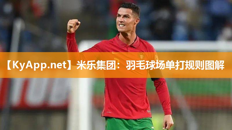 米乐集团：羽毛球场单打规则图解