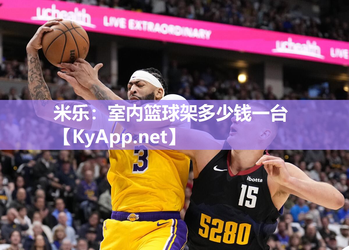 米乐：室内篮球架多少钱一台