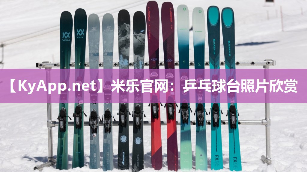 米乐官网：乒乓球台照片欣赏