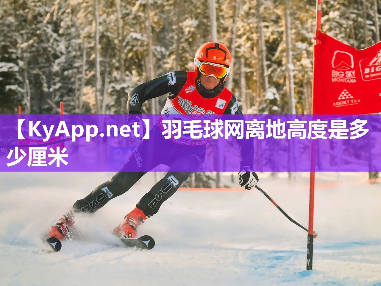 羽毛球网离地高度是多少厘米