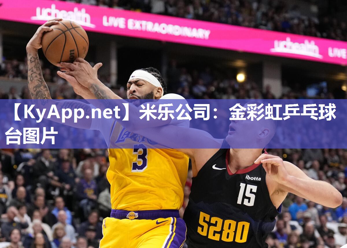 米乐公司：金彩虹乒乓球台图片