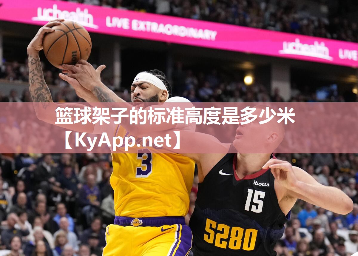 篮球架子的标准高度是多少米