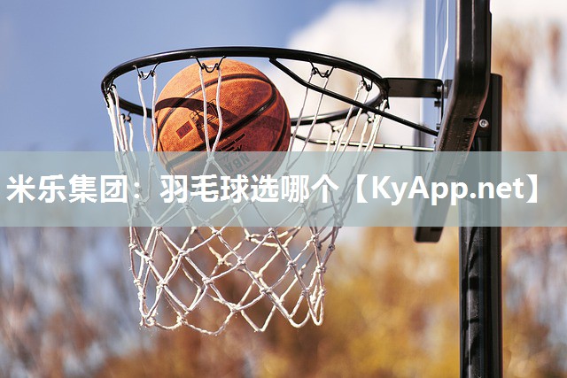 米乐集团：羽毛球选哪个