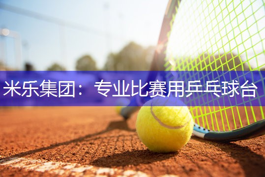 专业比赛用乒乓球台