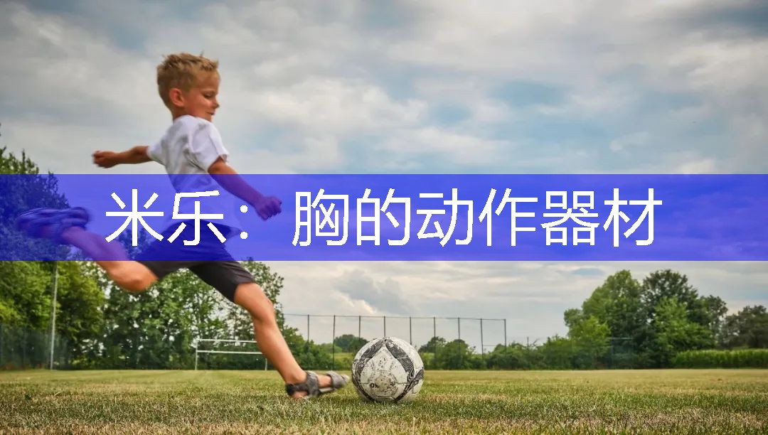 胸的动作器材