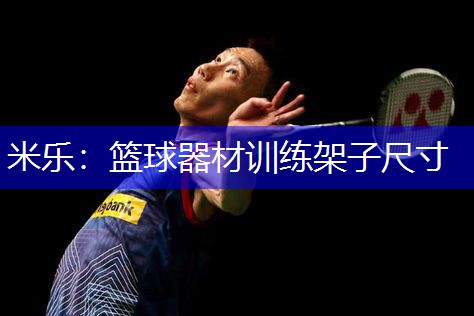 篮球器材训练架子尺寸