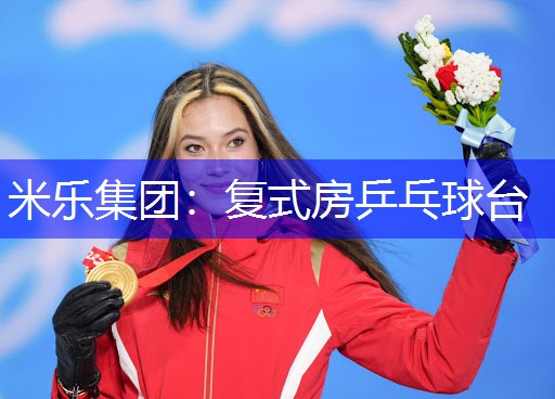 复式房乒乓球台