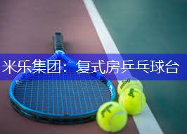 复式房乒乓球台
