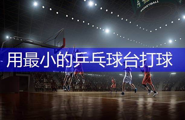 用最小的乒乓球台打球