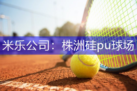 株洲硅pu球场