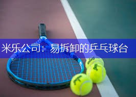 易拆卸的乒乓球台